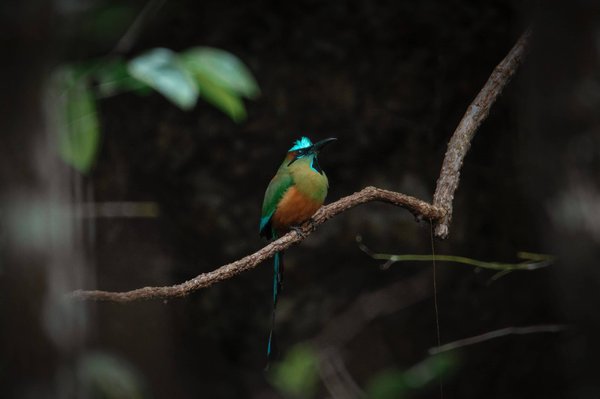 les nouvelles technologies pour rendre votre maison plus intelligente