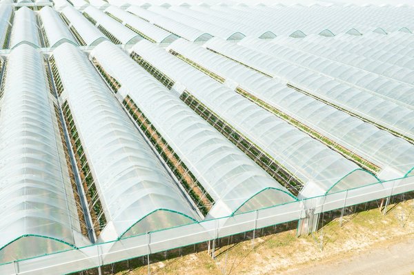 Découvrez la meilleure bâche pour serre avec 10% de réduction