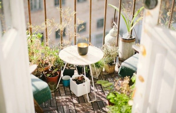 comment créer un potager suspendu sur votre balcon